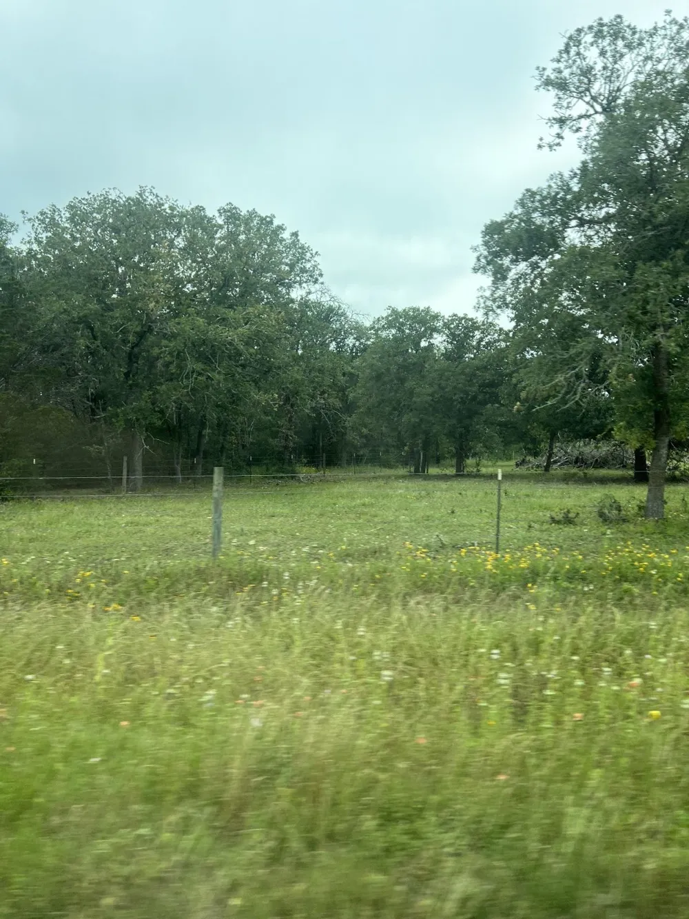 2 Davis Road Smithville, TX 78957