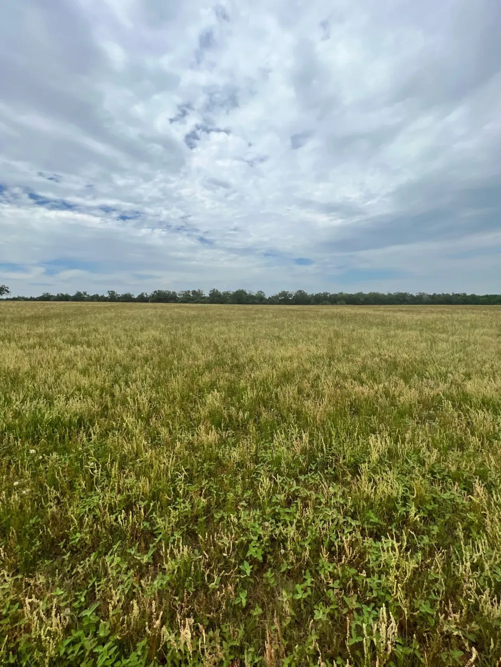 2 Davis Road Smithville, TX 78957