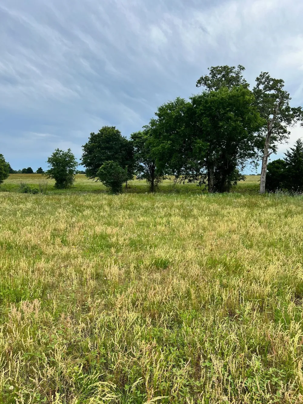 2 Davis Road Smithville, TX 78957