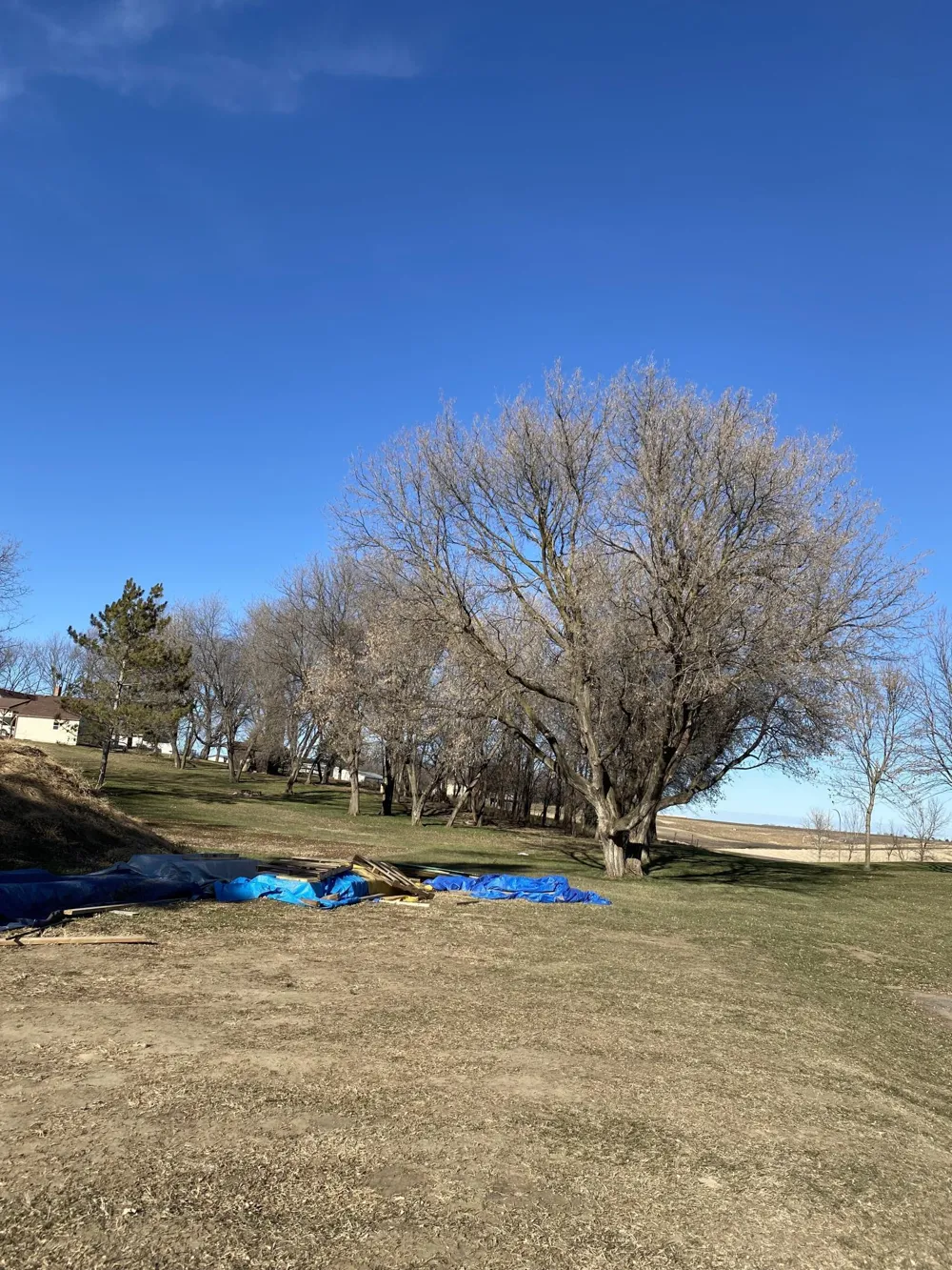 1970 Norway Avenue Windom, MN 56101