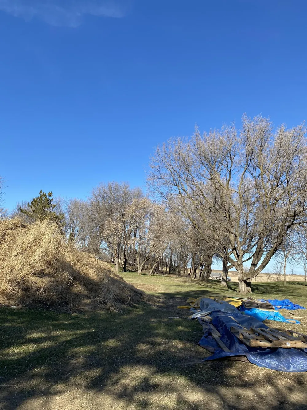 1970 Norway Avenue Windom, MN 56101