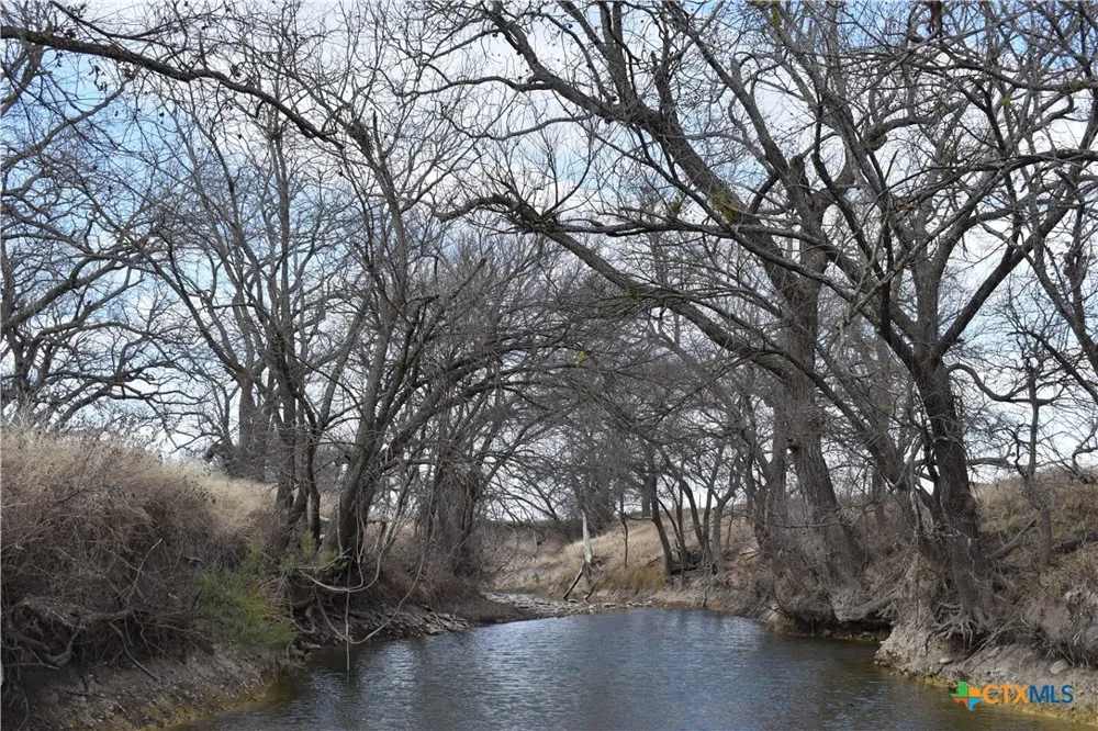 County Road 621 Hamilton, TX 76531