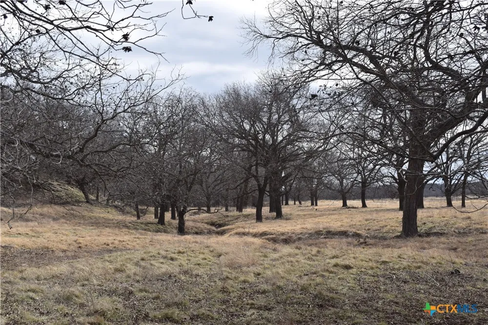 County Road 621 Hamilton, TX 76531