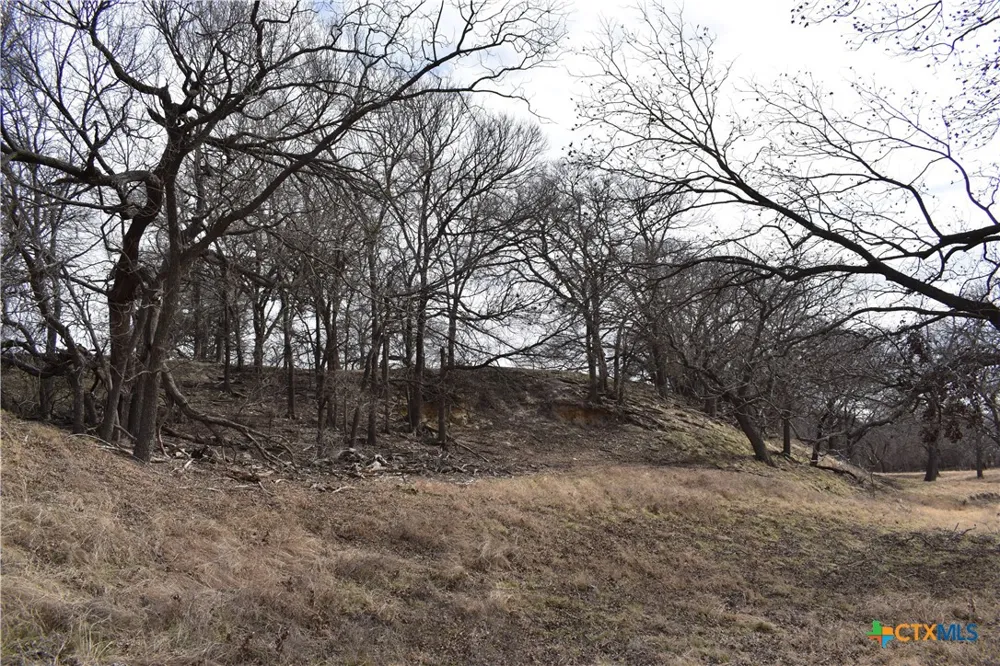 County Road 621 Hamilton, TX 76531