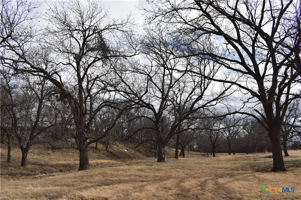 County Road 621 Hamilton, TX 76531