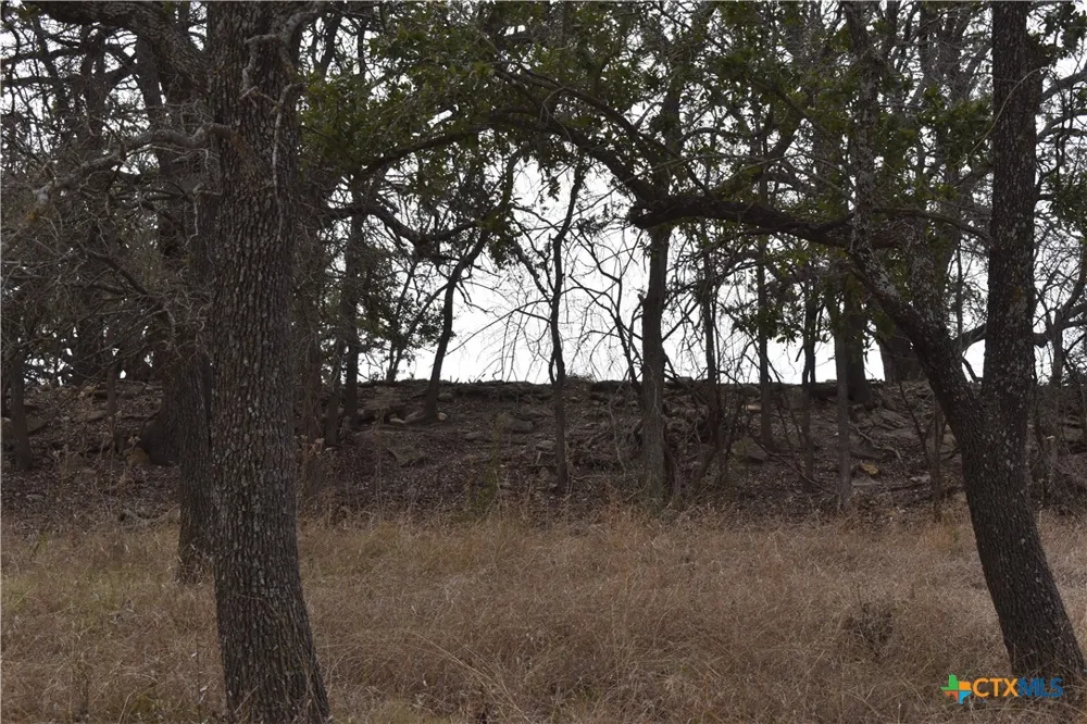 County Road 621 Hamilton, TX 76531