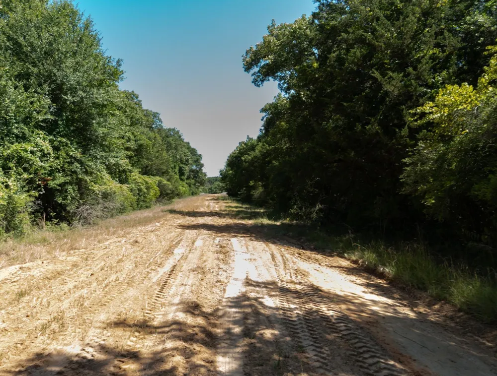 Daisetta Street Normangee, TX 77871