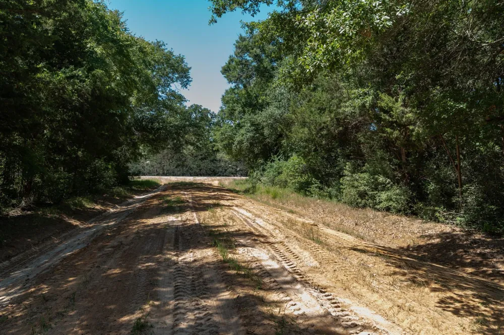 Daisetta Street Normangee, TX 77871