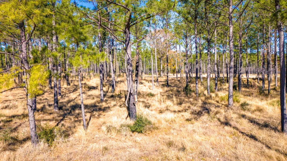 413 Wells Landing Rd Road Onalaska, TX 77360