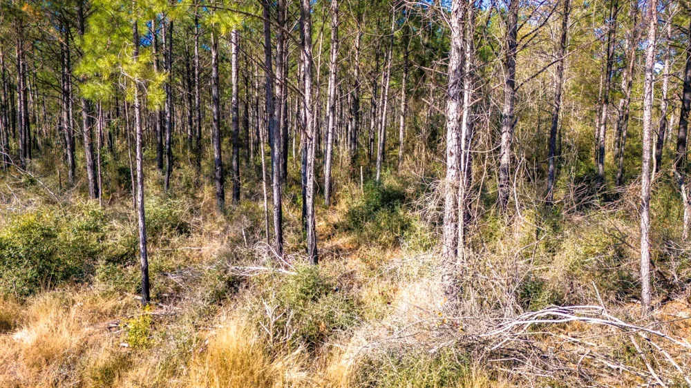 413 Wells Landing Rd Road Onalaska, TX 77360