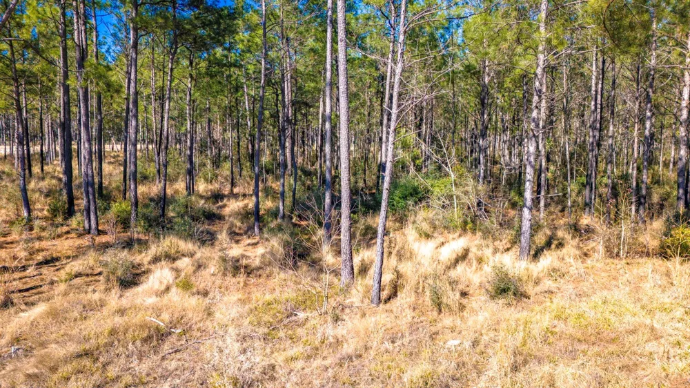 413 Wells Landing Rd Road Onalaska, TX 77360