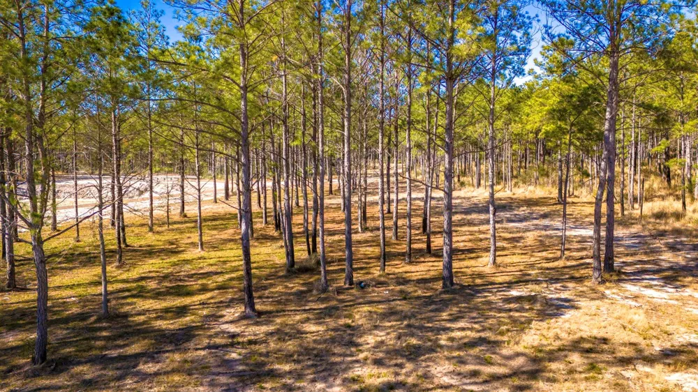 413 Wells Landing Rd Road Onalaska, TX 77360