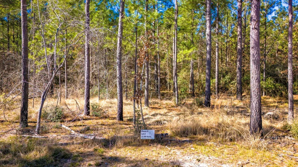 42 Sportsman Retreat Road Road Onalaska, TX 77360