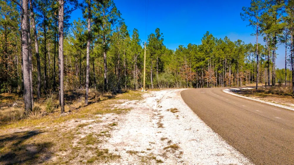 42 Sportsman Retreat Road Road Onalaska, TX 77360