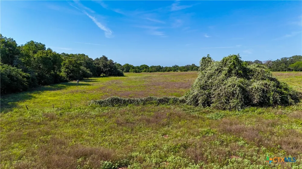 985 Dewberry Lane Harwood, TX 78632