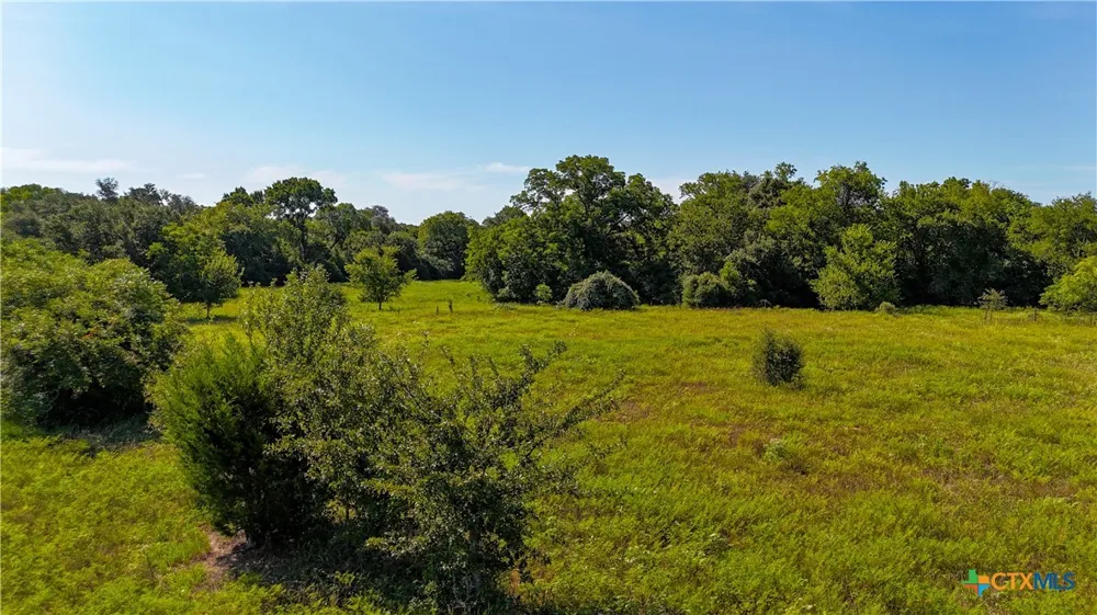 985 Dewberry Lane Harwood, TX 78632