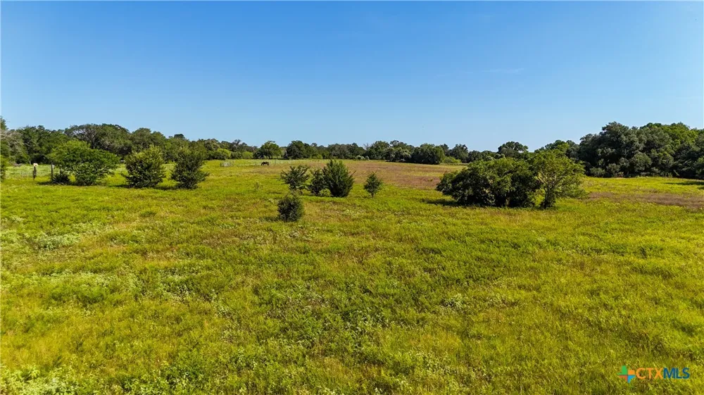 985 Dewberry Lane Harwood, TX 78632