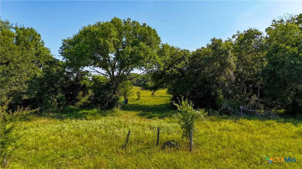 985 Dewberry Lane Harwood, TX 78632