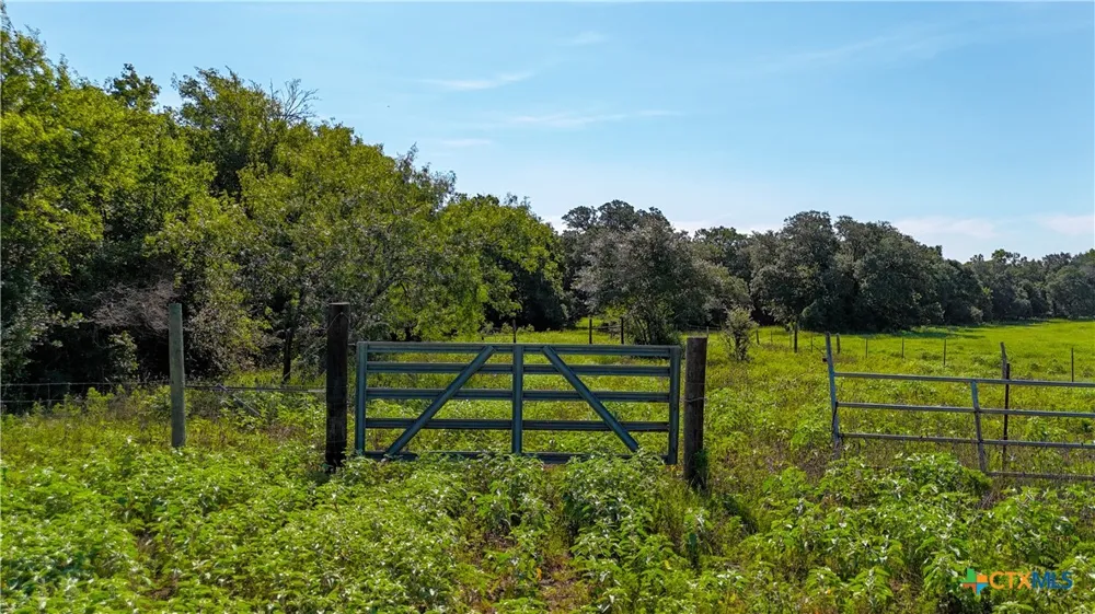 985 Dewberry Lane Harwood, TX 78632
