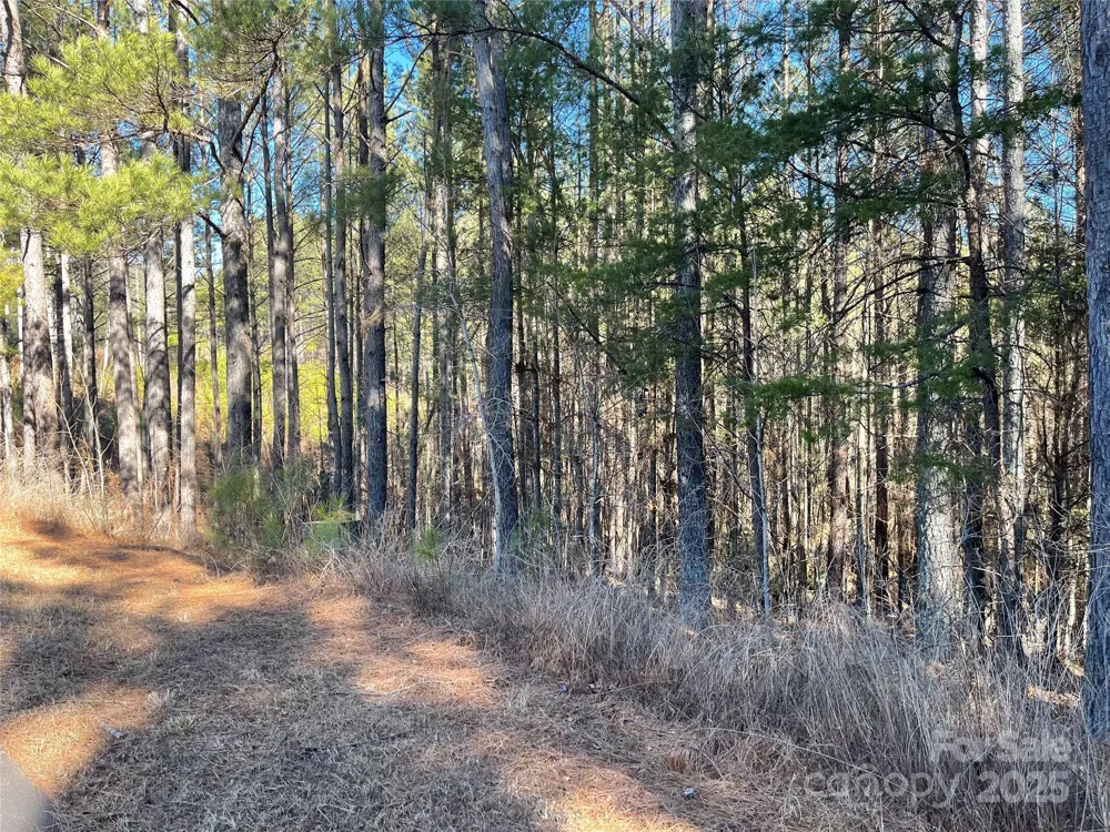 109 Shortoff Trail Valdese, NC 28655