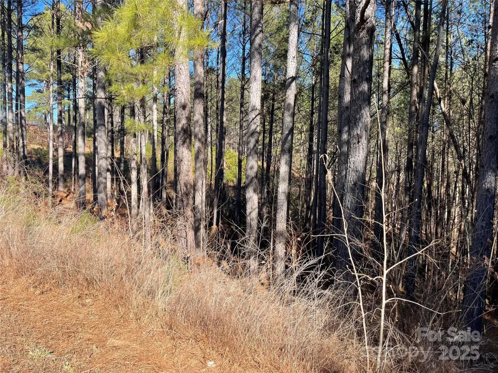 109 Shortoff Trail Valdese, NC 28655
