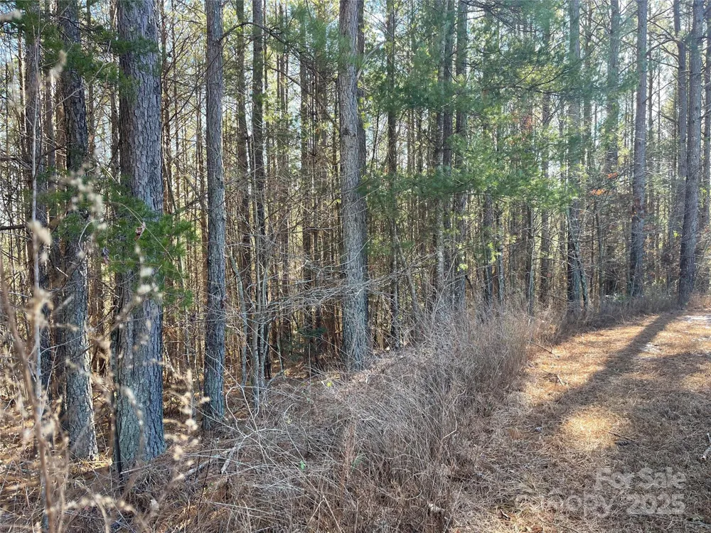 109 Shortoff Trail Valdese, NC 28655