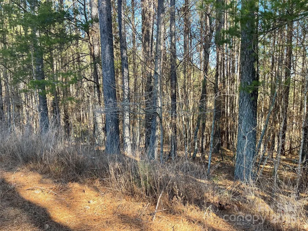109 Shortoff Trail Valdese, NC 28655
