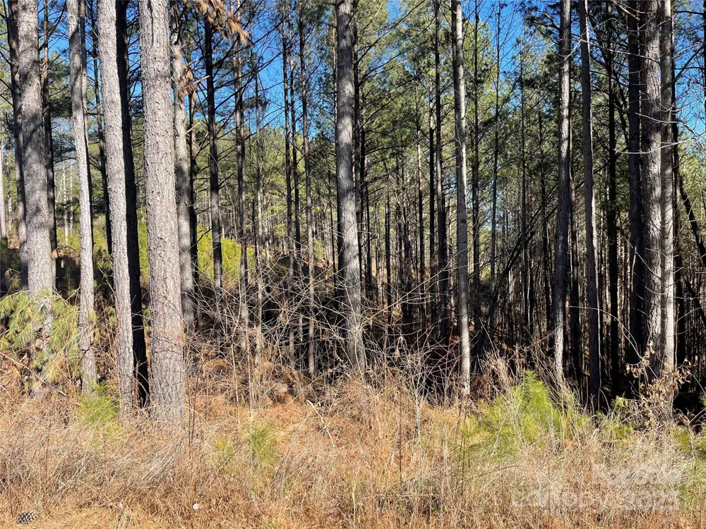 109 Shortoff Trail Valdese, NC 28655