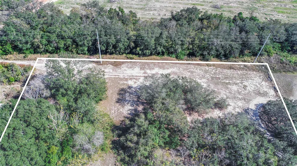 DANIEL STREET Dundee, FL 33838