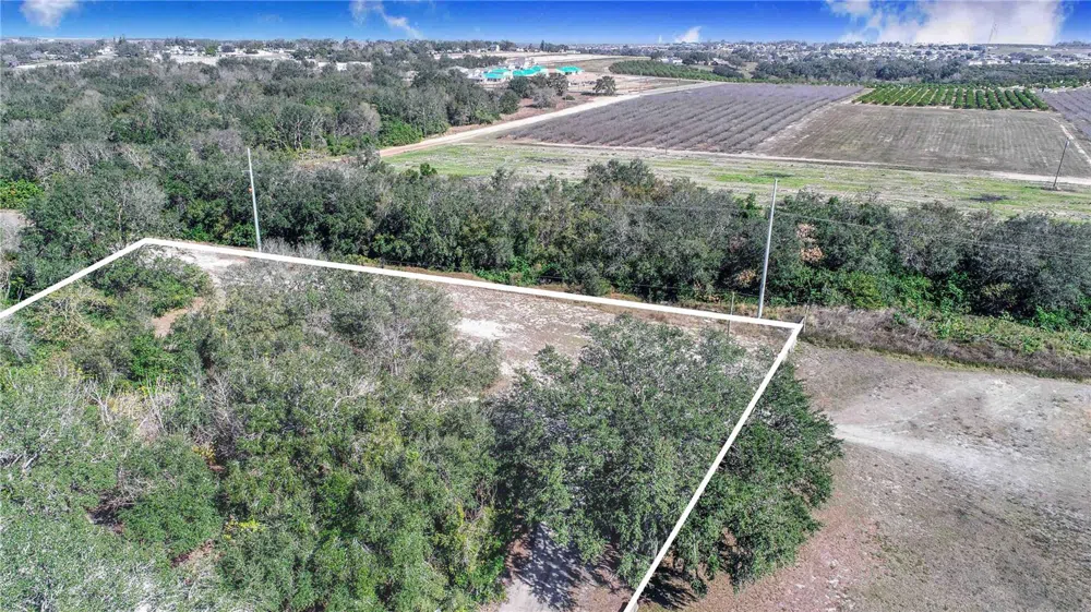 DANIEL STREET Dundee, FL 33838
