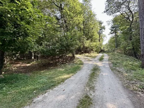 Pine Cone Drive