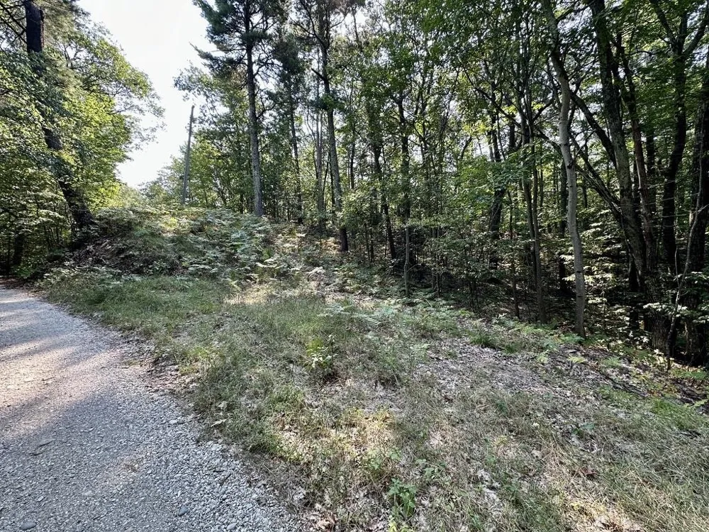 Pine Cone Drive St James Township, MI 49782