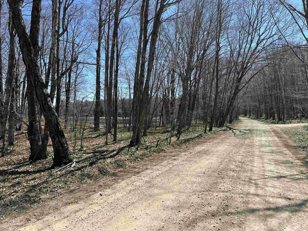 West Side Drive Peaine Township, MI 49782
