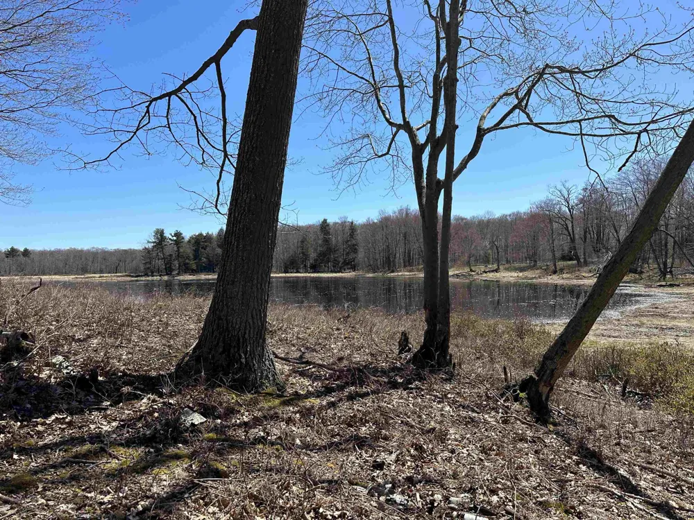 West Side Drive Peaine Township, MI 49782