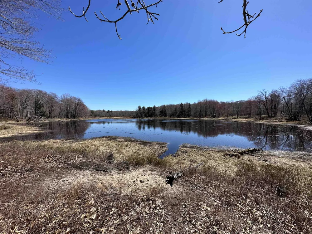 West Side Drive Peaine Township, MI 49782