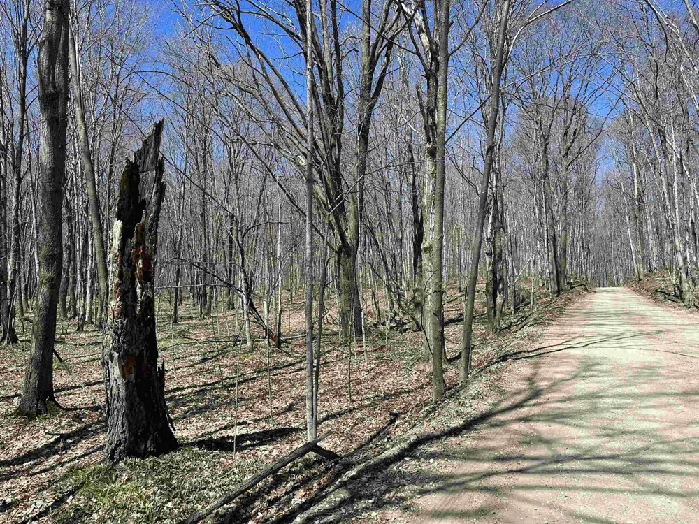 West Side Drive Peaine Township, MI 49782