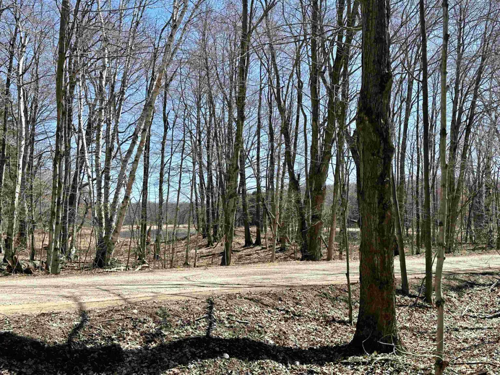 West Side Drive Peaine Township, MI 49782