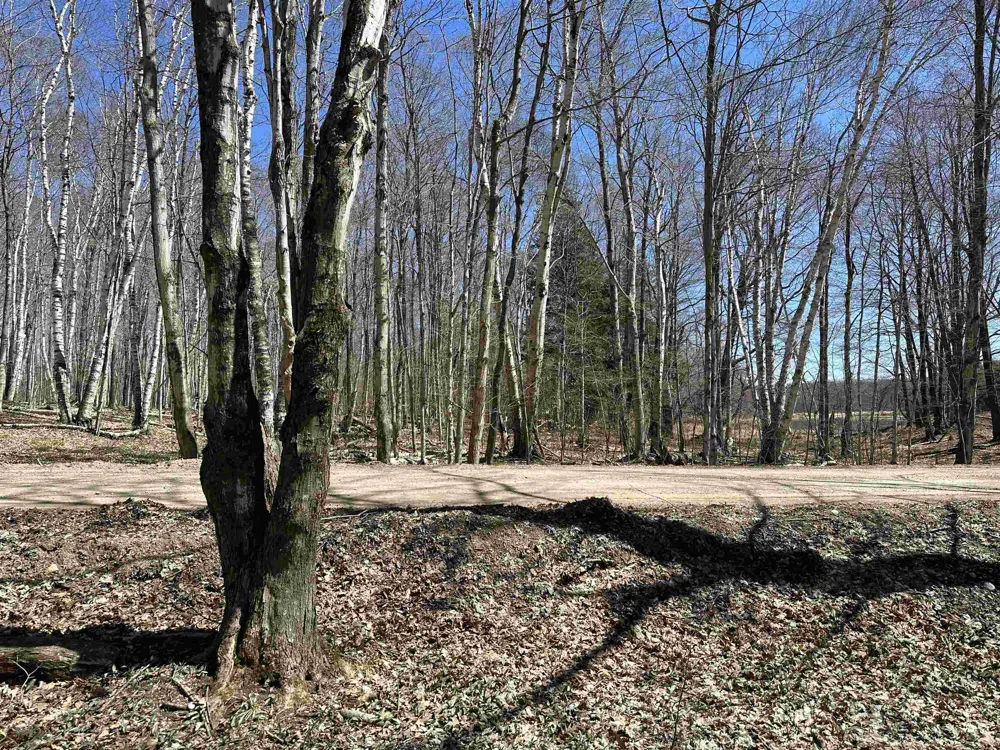 West Side Drive Peaine Township, MI 49782