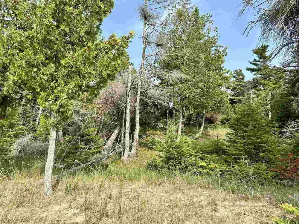 Western Peaine Township, MI 49782