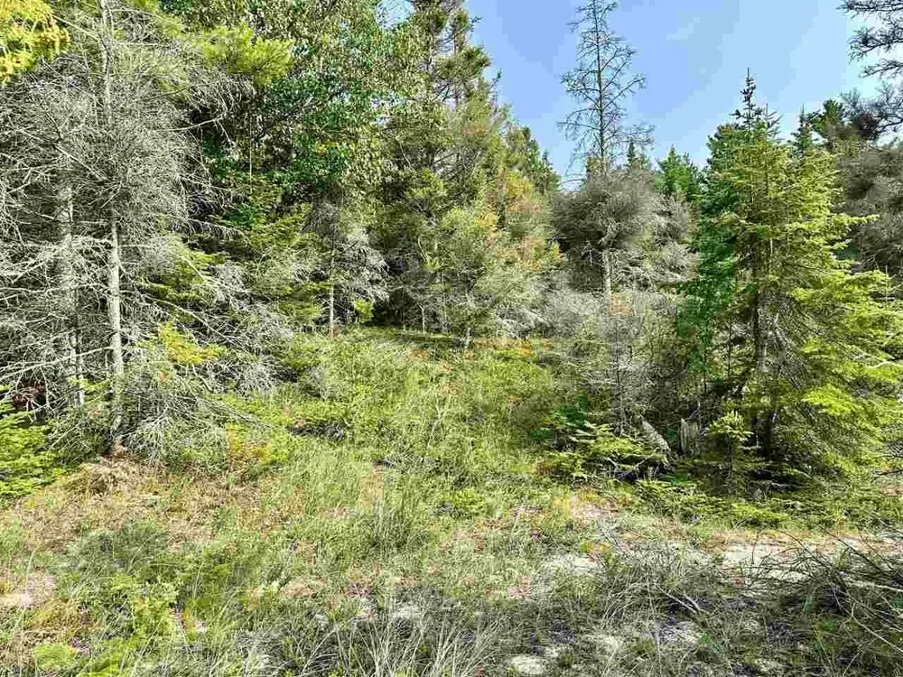 Western Peaine Township, MI 49782