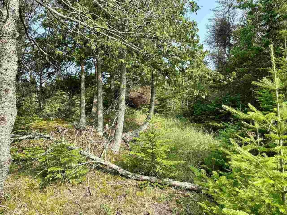 Western Peaine Township, MI 49782