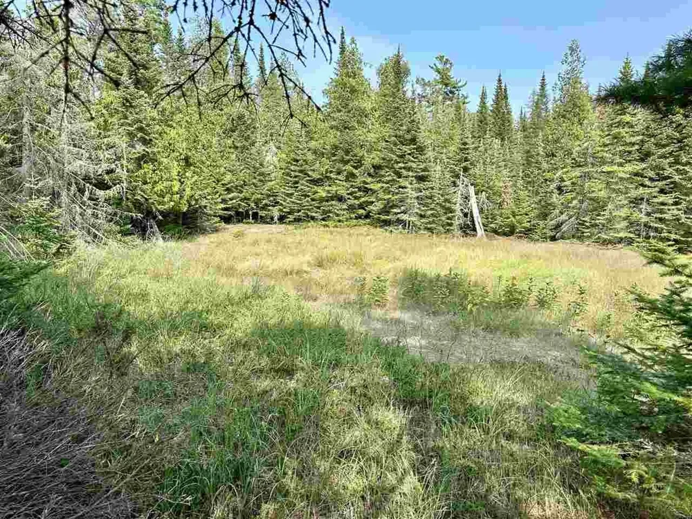 Western Peaine Township, MI 49782