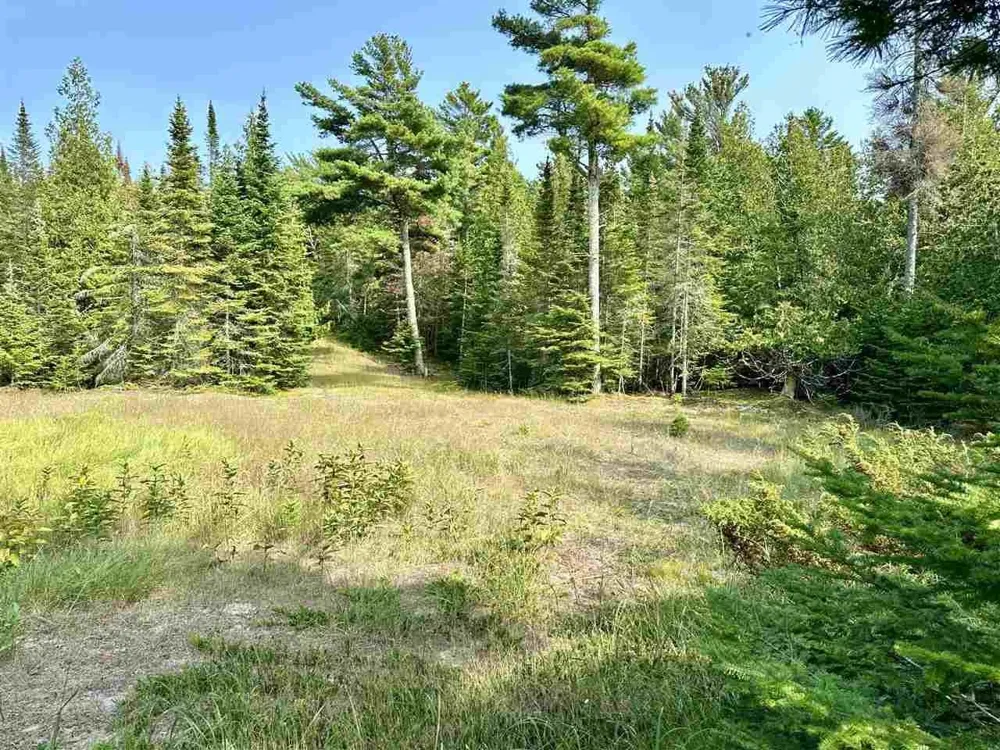 Western Peaine Township, MI 49782