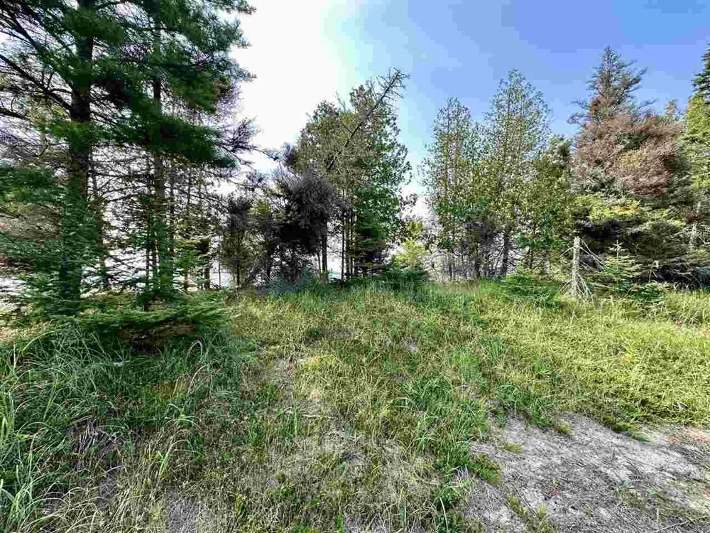 Western Peaine Township, MI 49782