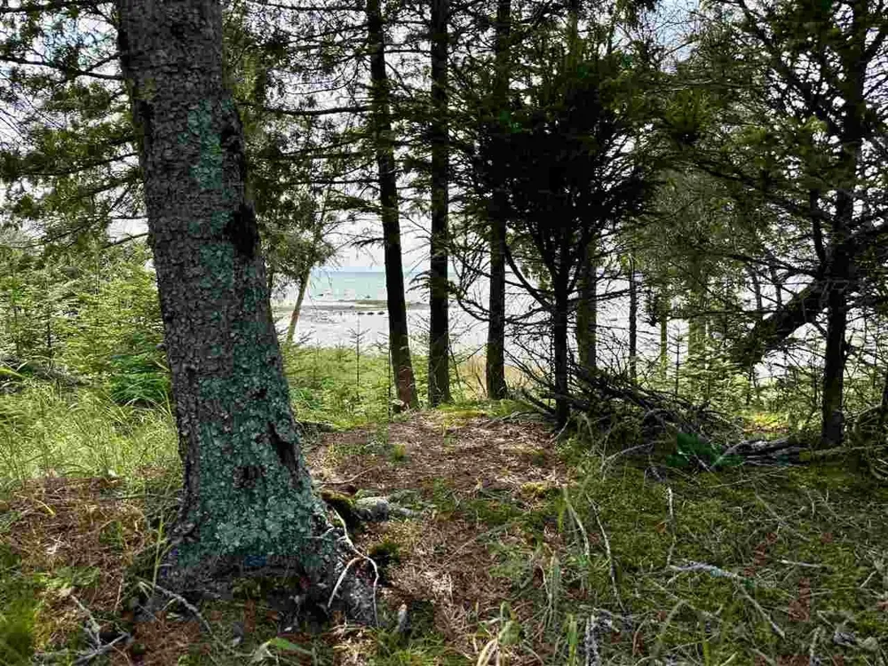 Western Peaine Township, MI 49782
