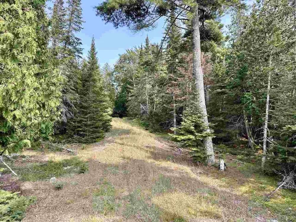 Western Peaine Township, MI 49782