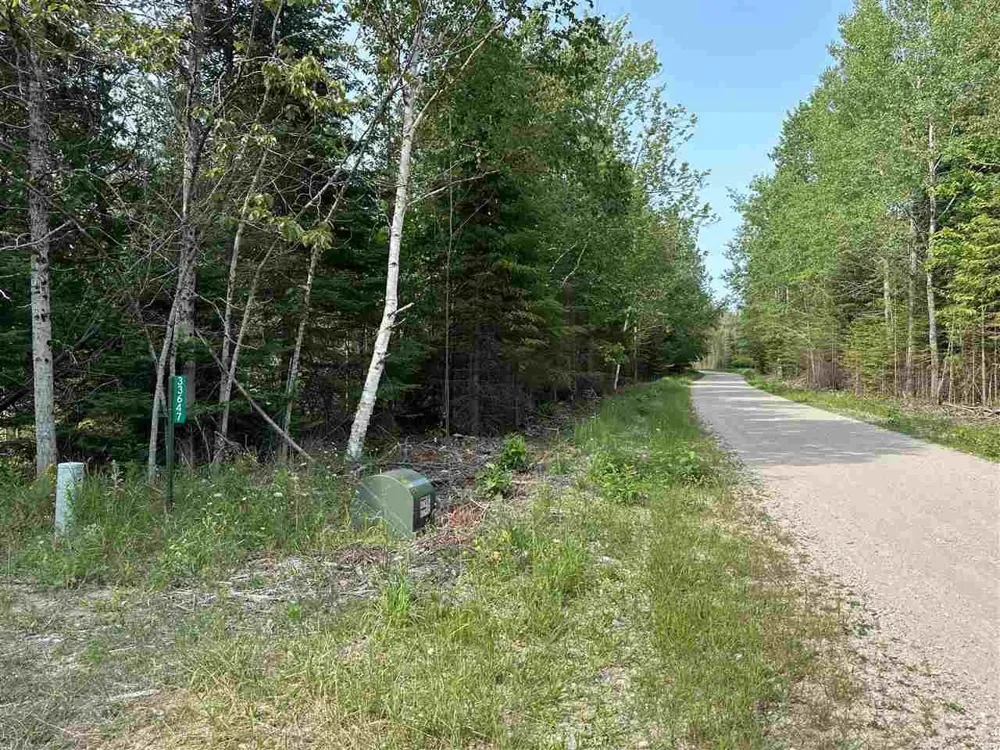 Western Peaine Township, MI 49782