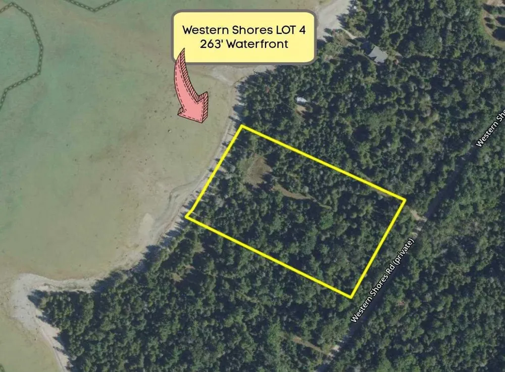 Western Peaine Township, MI 49782