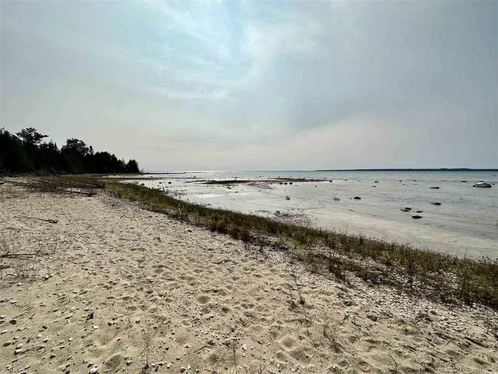 Western Peaine Township, MI 49782