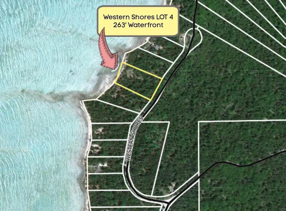 Western Peaine Township, MI 49782